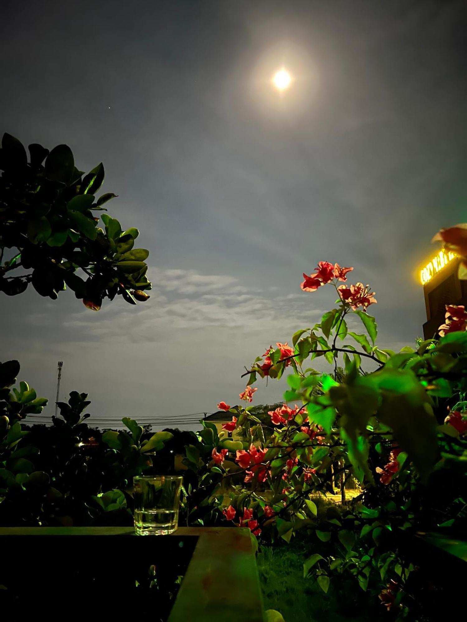 Tam Coc Golden Sun Villa Vu Lam Luaran gambar